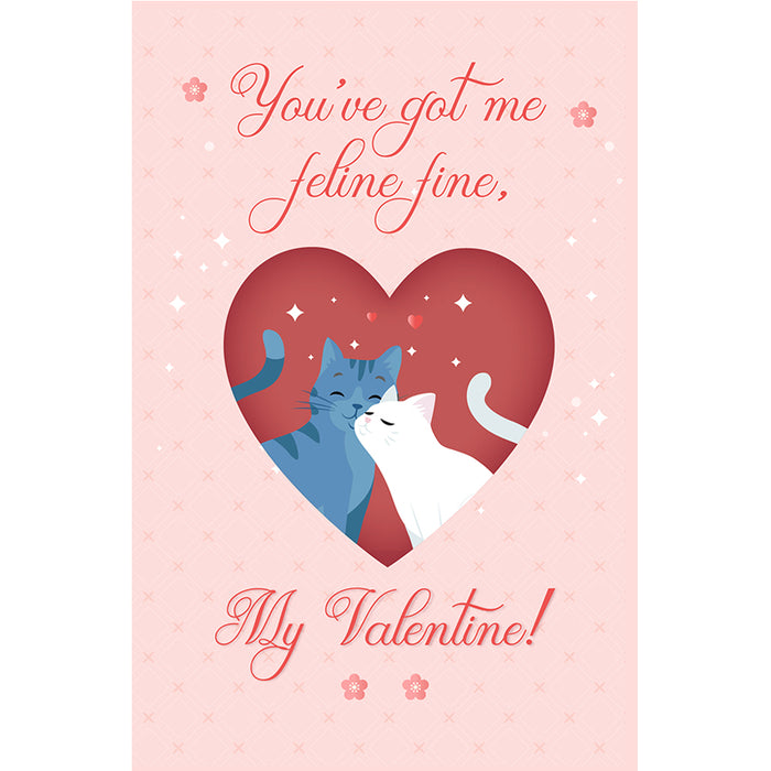 Funny Cat Pun Valentine's Day Card