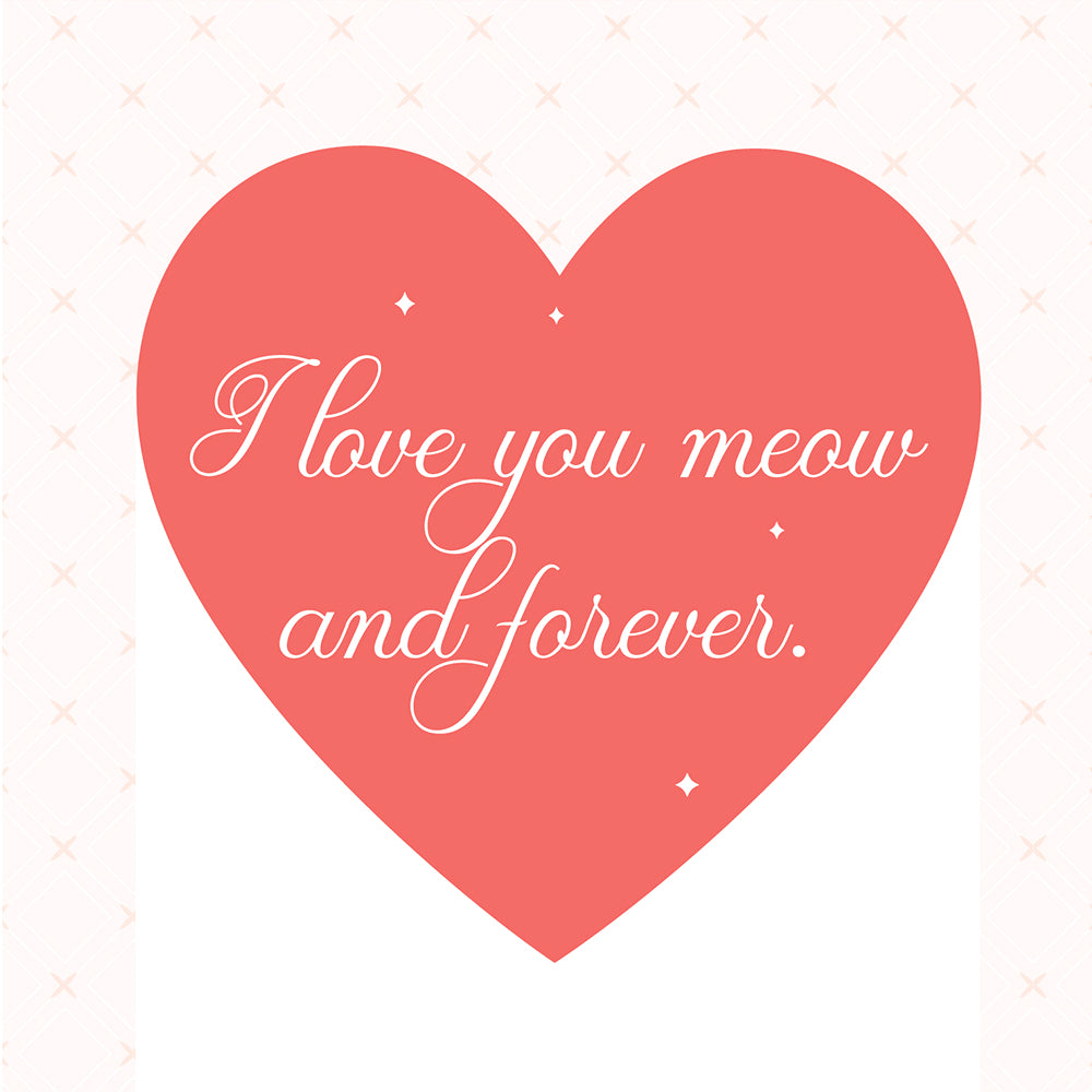 Funny Cat Pun Valentine's Day Card