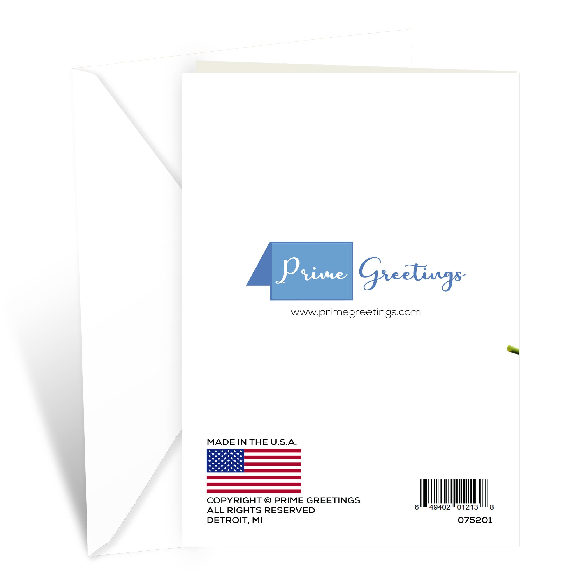 Funny Valentine's Day Card Roses are Red Poem