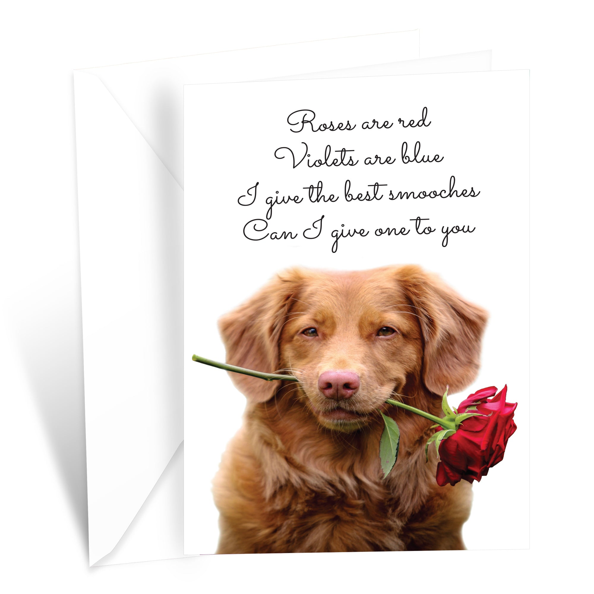 Funny Valentine's Day Card Roses are Red Poem