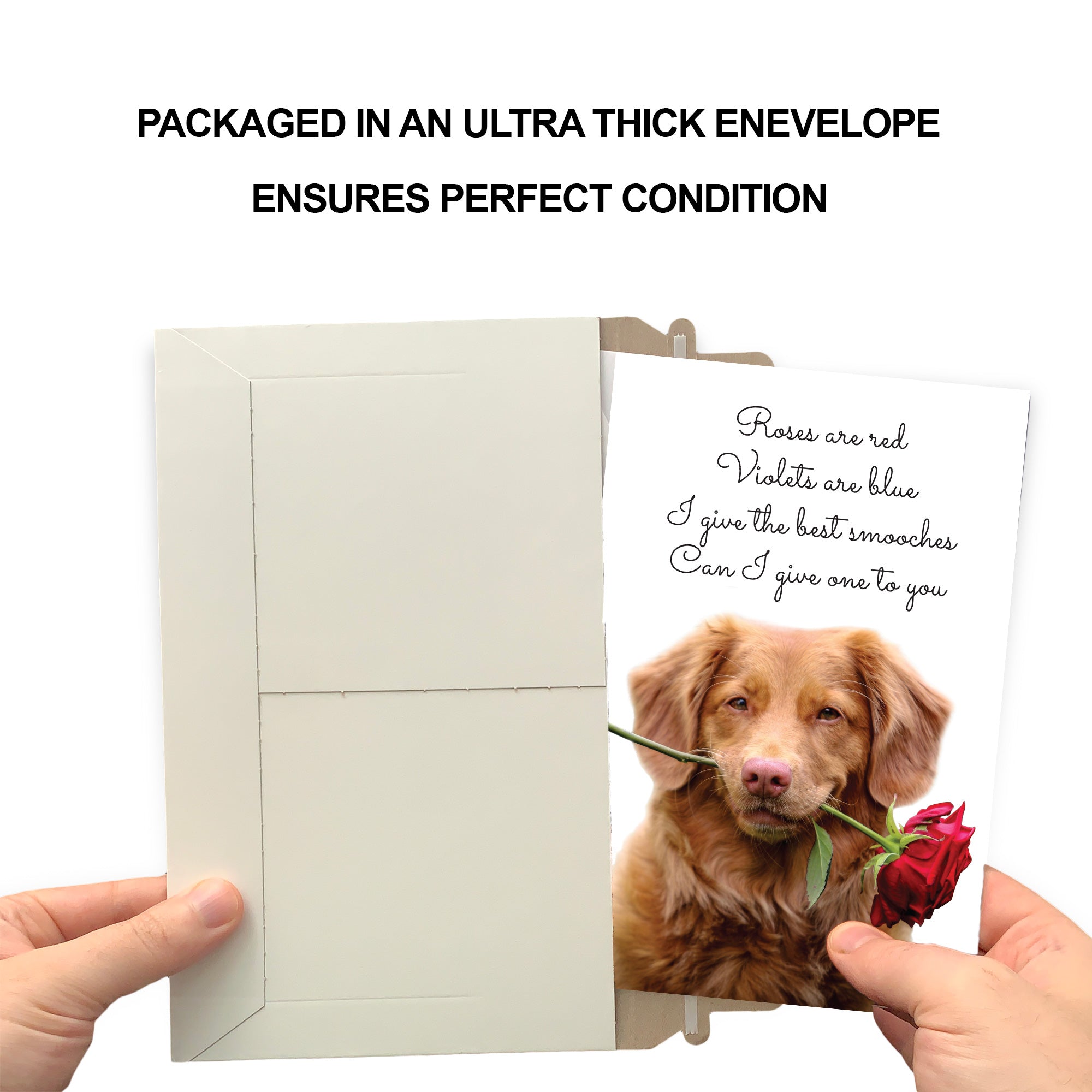 Funny Valentine's Day Card Roses are Red Poem