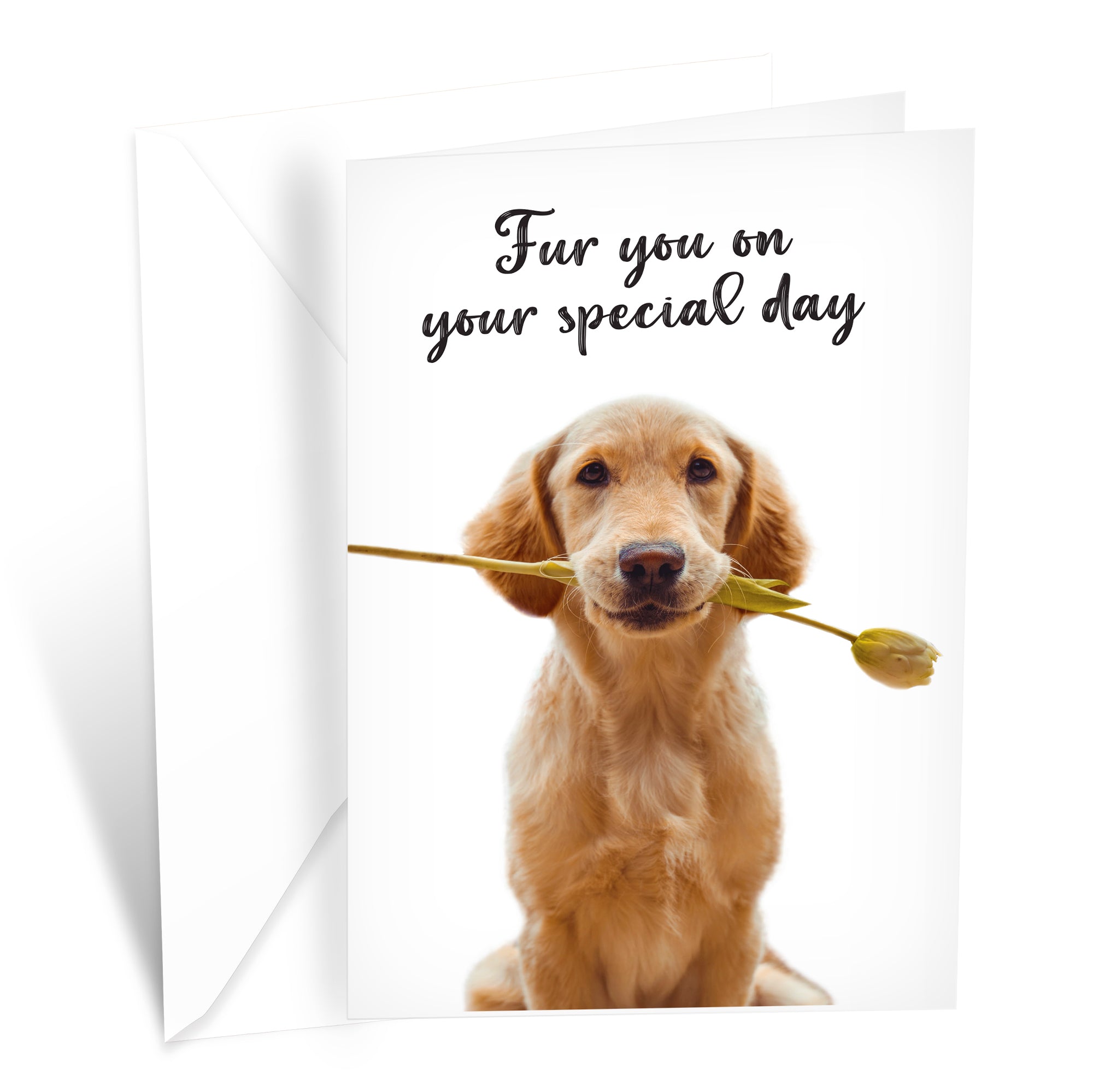 Funny Dog Birthday Card Pun With Golden Retriever