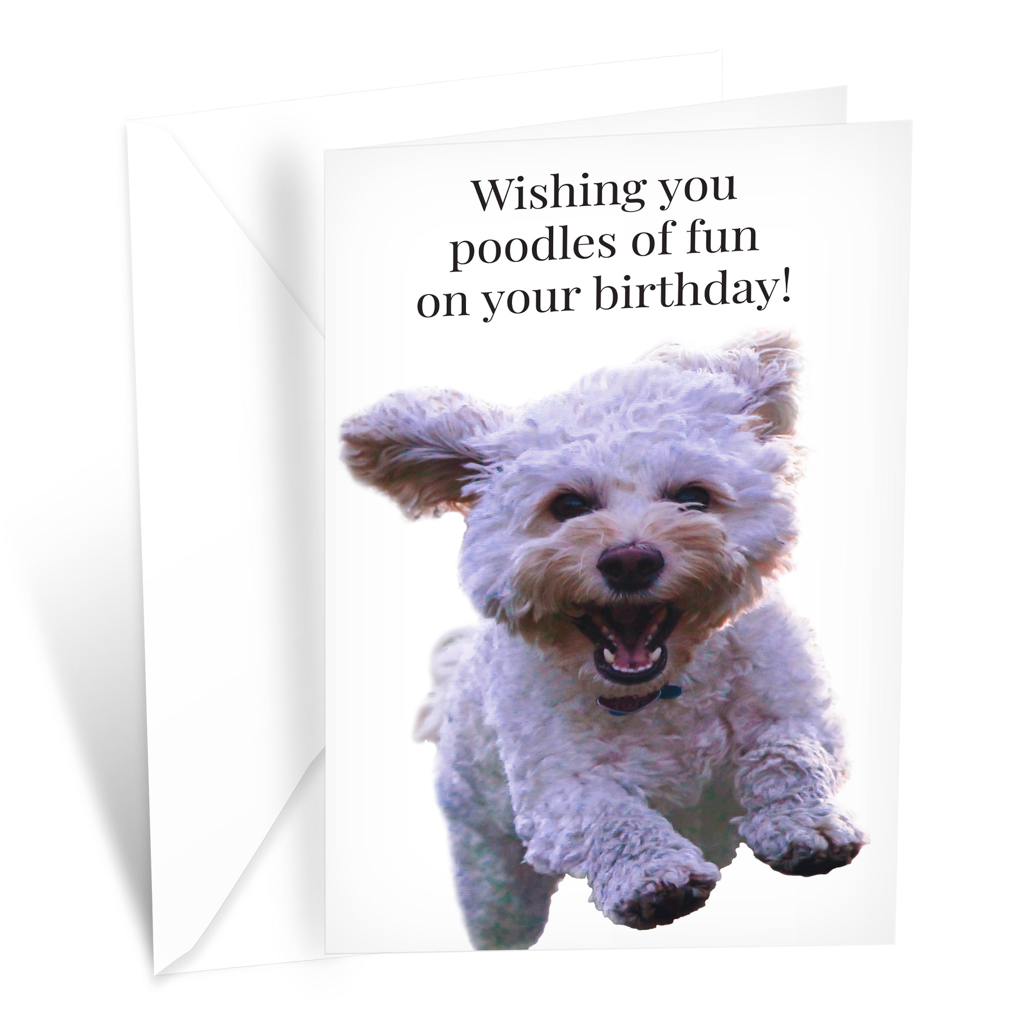 Funny Dog Birthday Card Pun With Poodle