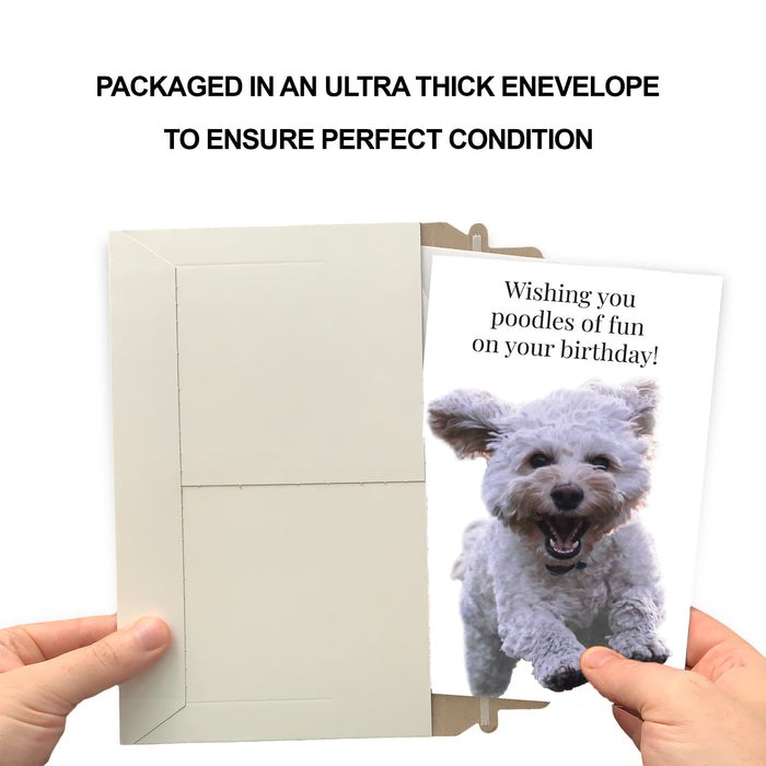 Funny Dog Birthday Card Pun With Poodle