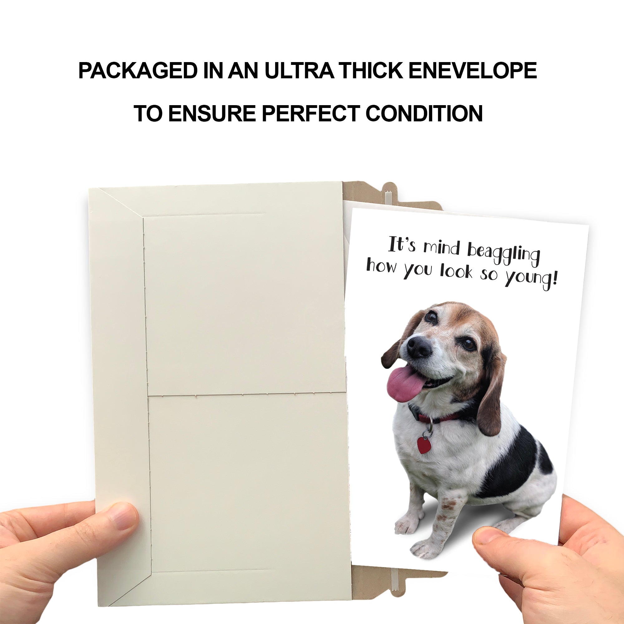 Funny Dog Birthday Card Pun With Beagle