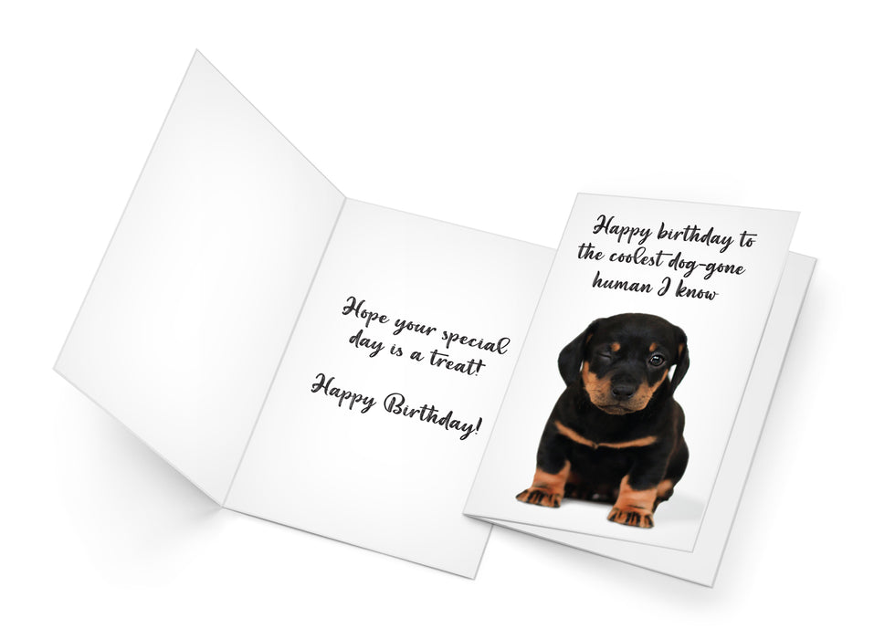 Funny Dog Birthday Card Pun With Rottweiler