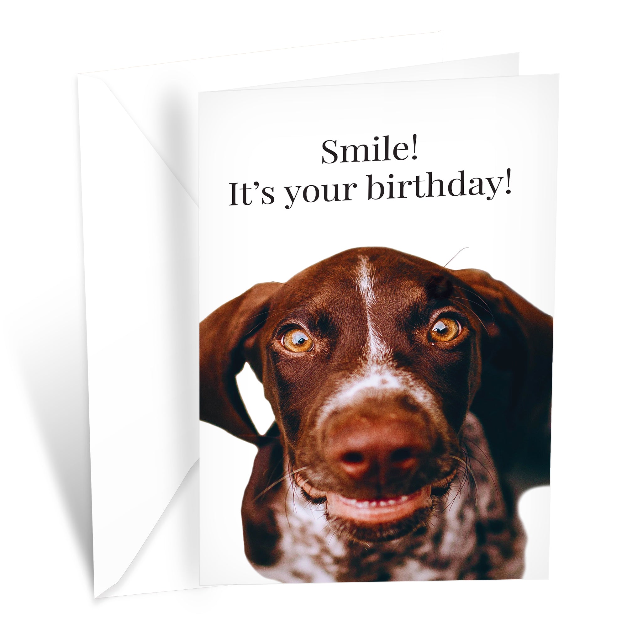 Funny Dog Birthday Card Pun With Pointer