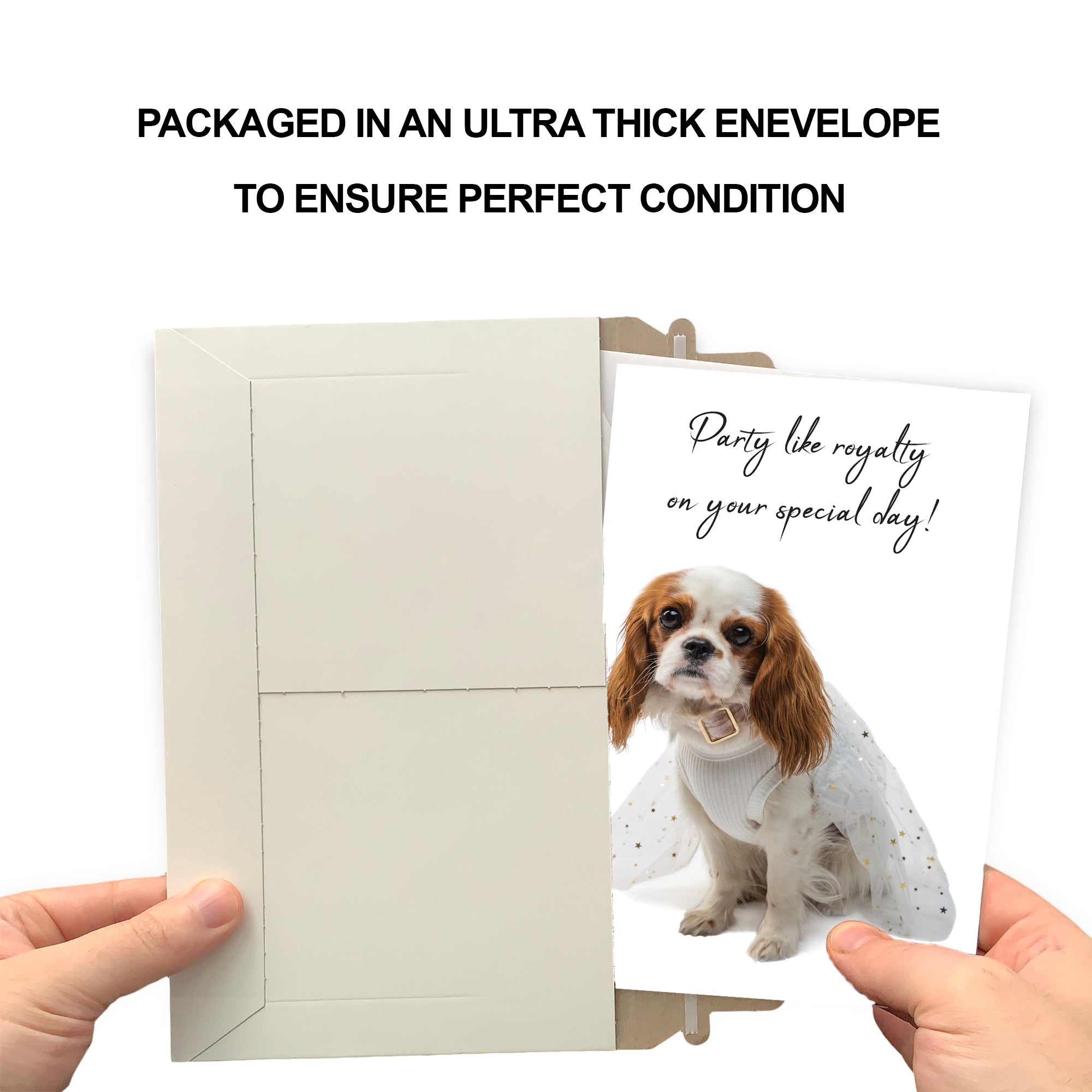 Funny Dog Birthday Card Pun With King Charles Spaniel