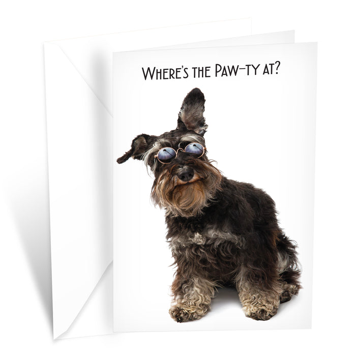 Funny Dog Birthday Card Pun With Poodle With Sunglesses