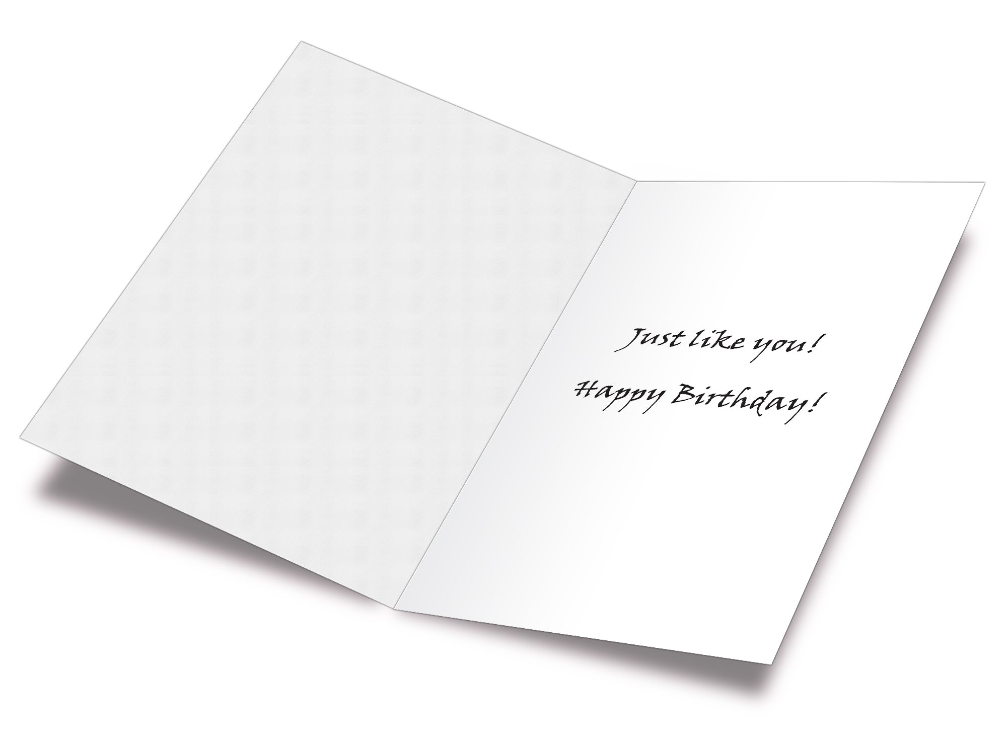 Funny Dog Birthday Card Pun With Shih Tzu