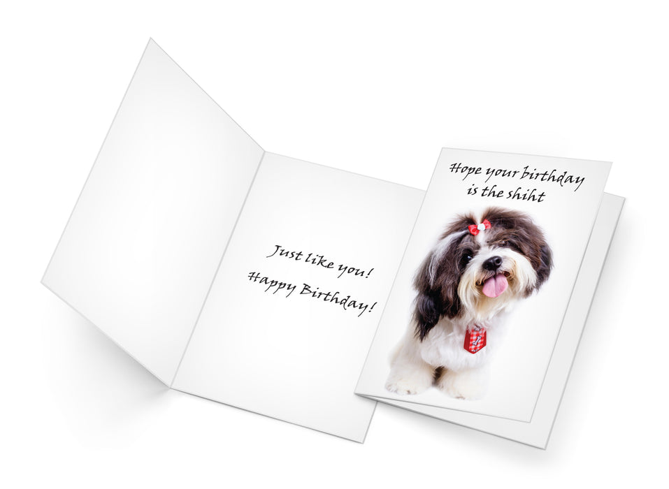 Funny Dog Birthday Card Pun With Shih Tzu