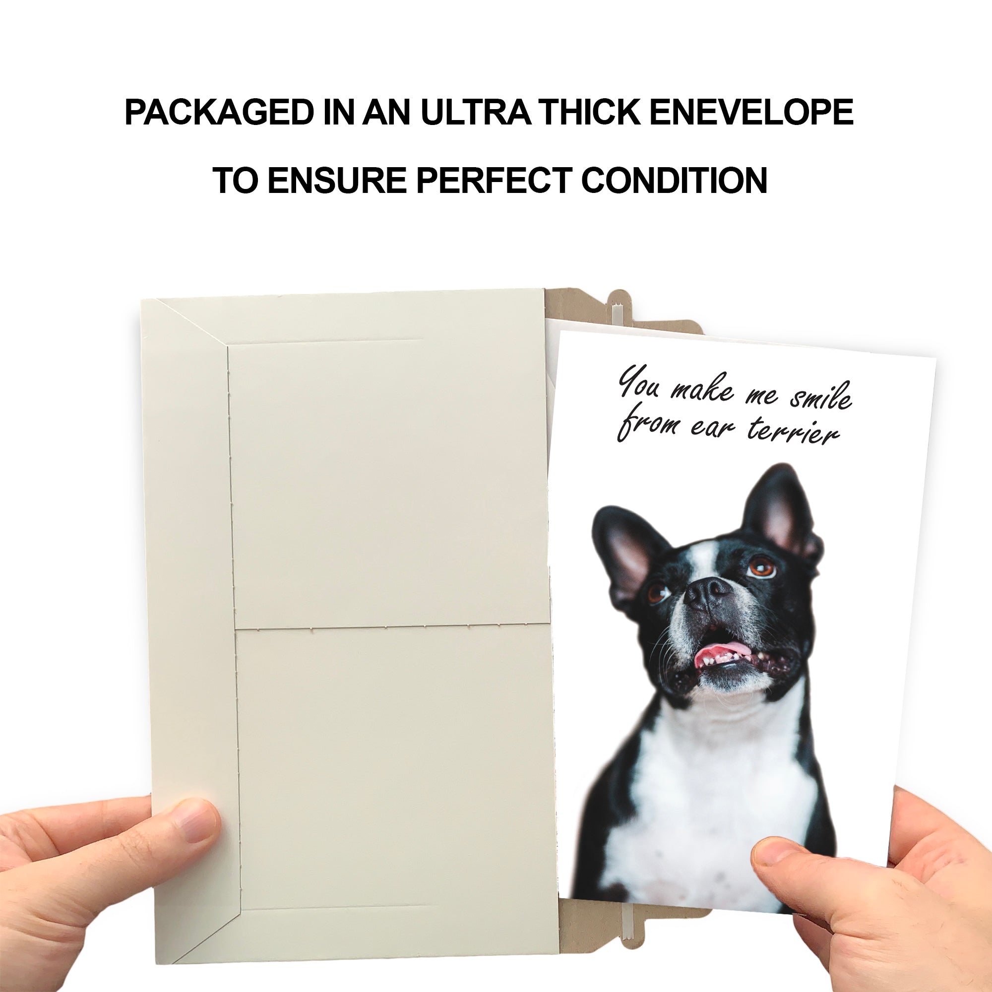 Funny Dog Birthday Card Pun With Boston Terrier