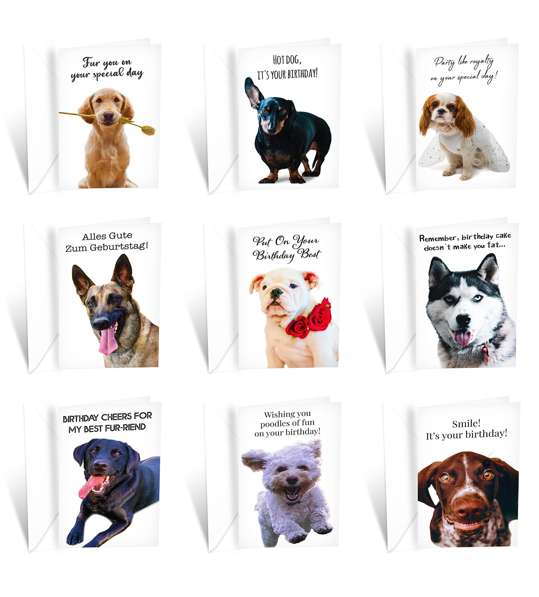 24 Funny Dog Card Collection