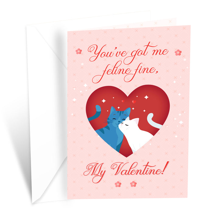 Funny Cat Pun Valentine's Day Card