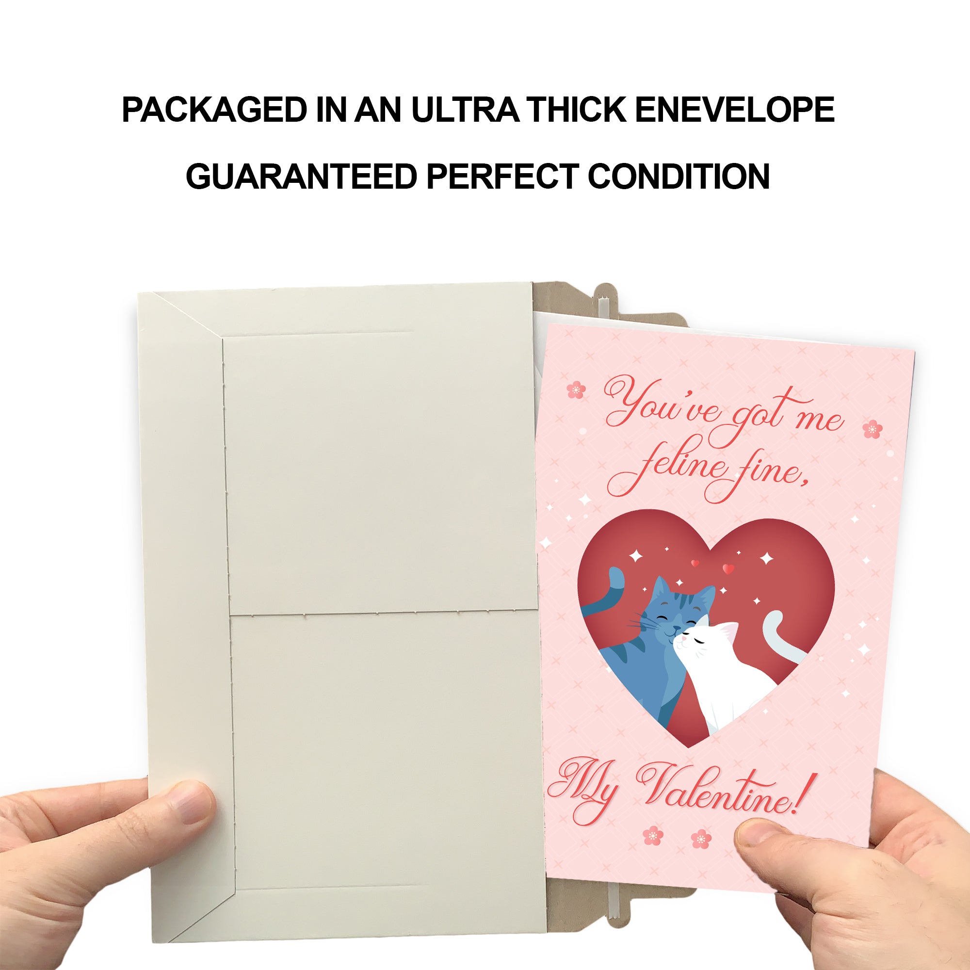 Funny Cat Pun Valentine's Day Card