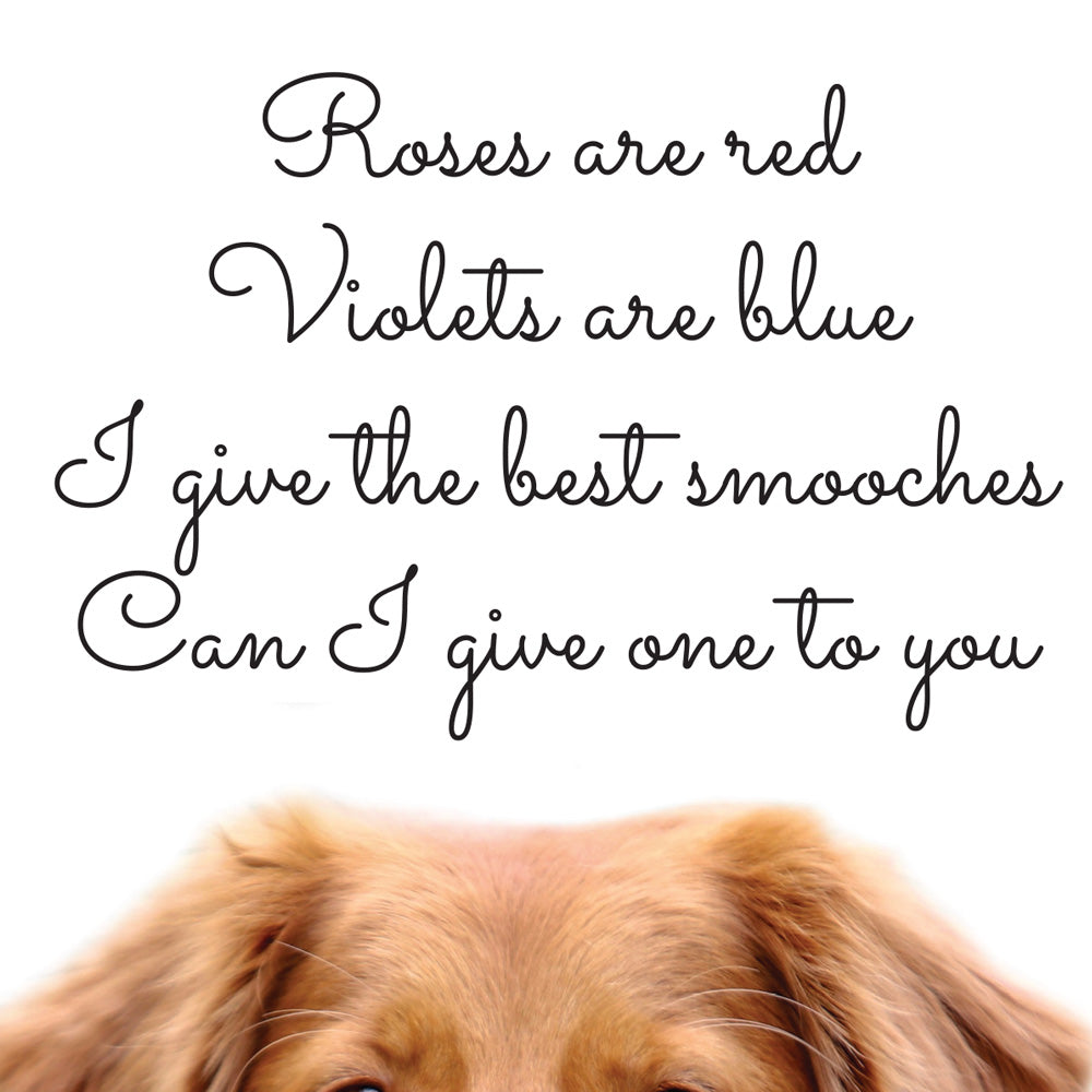 Funny Valentine's Day Card Roses are Red Poem