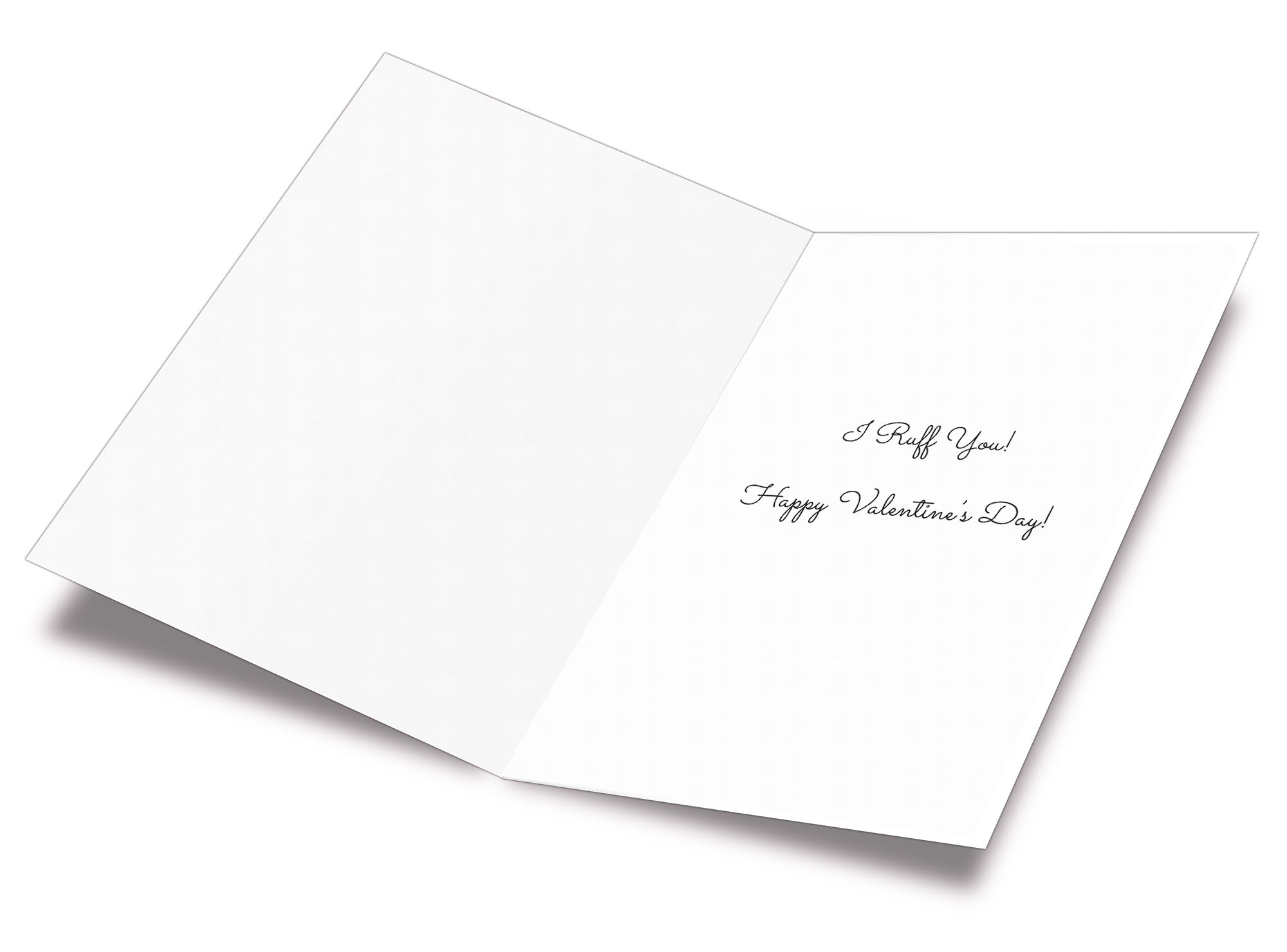 Funny Valentine's Day Card Roses are Red Poem