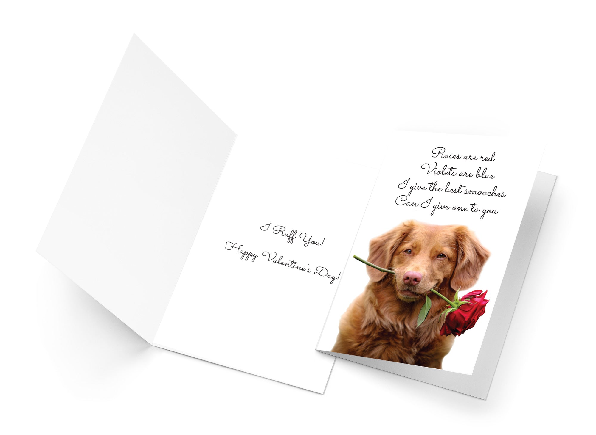 Funny Valentine's Day Card Roses are Red Poem