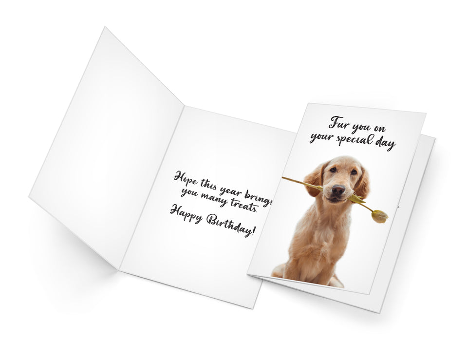 Funny Dog Birthday Card Pun With Golden Retriever