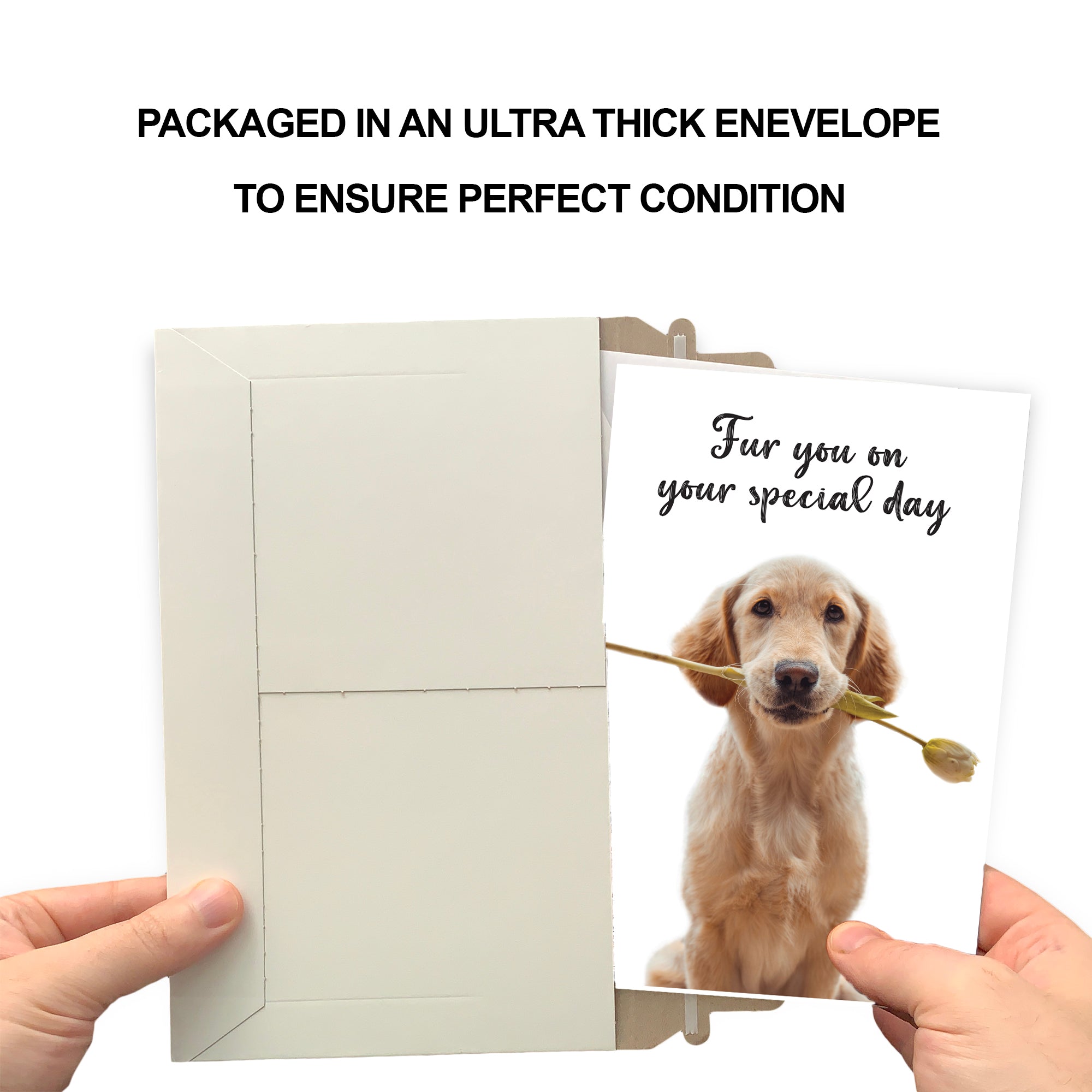 Funny Dog Birthday Card Pun With Golden Retriever