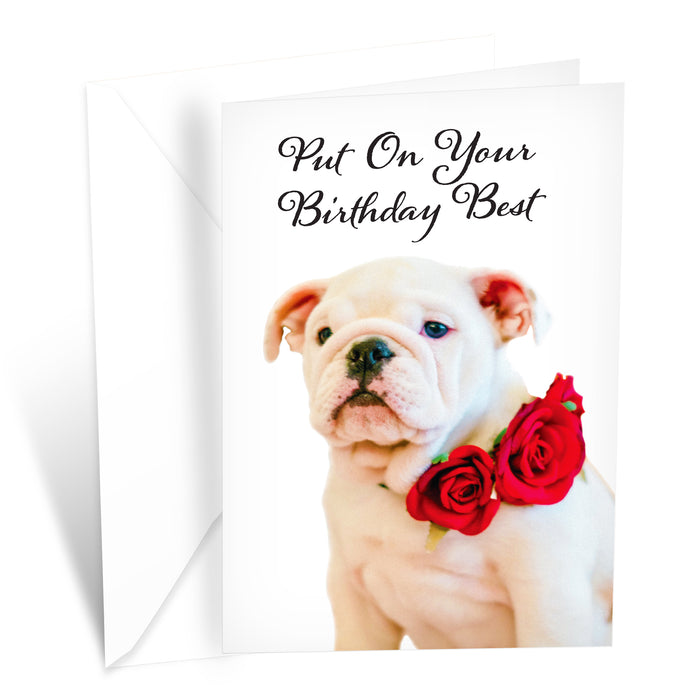 Funny Dog Birthday Card Pun With Bulldog