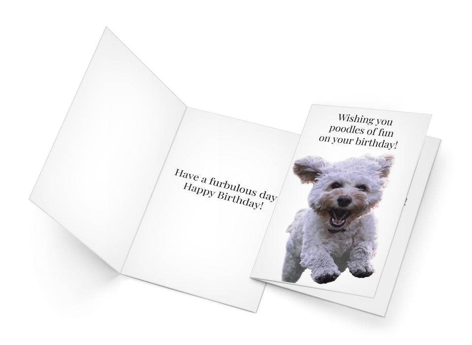 Funny Dog Birthday Card Pun With Poodle