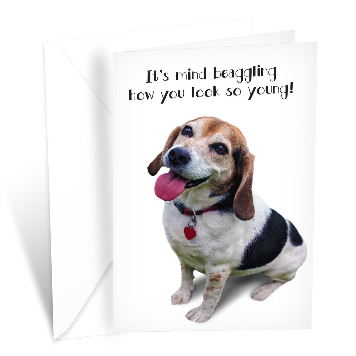 Beagle Valentine Cards beagle-valentine-cards