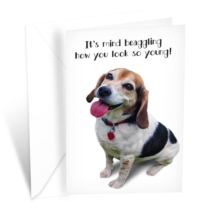 Funny Dog Birthday Card Pun With Beagle