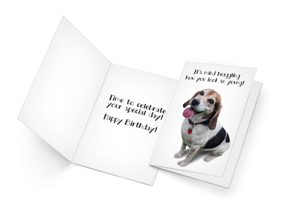 Funny Dog Birthday Card Pun With Beagle