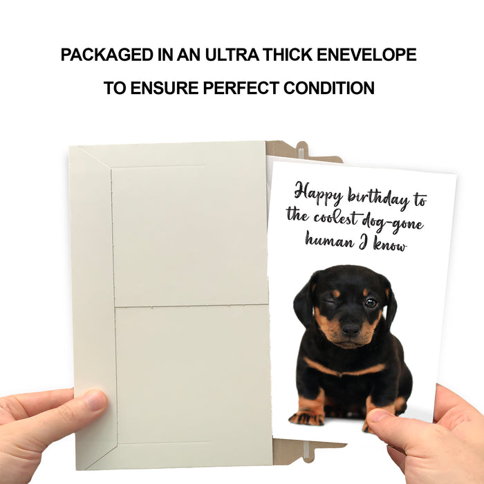 Funny Dog Birthday Card Pun With Rottweiler