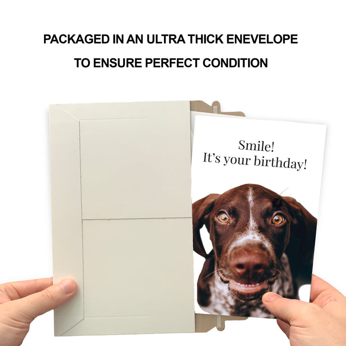 Funny Dog Birthday Card Pun With Pointer
