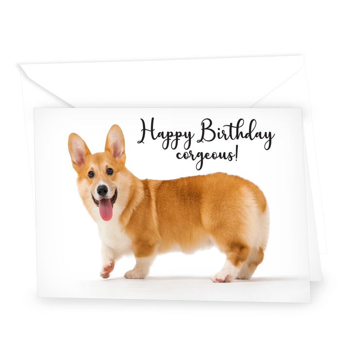 Funny Dog Birthday Card Pun With Corgi