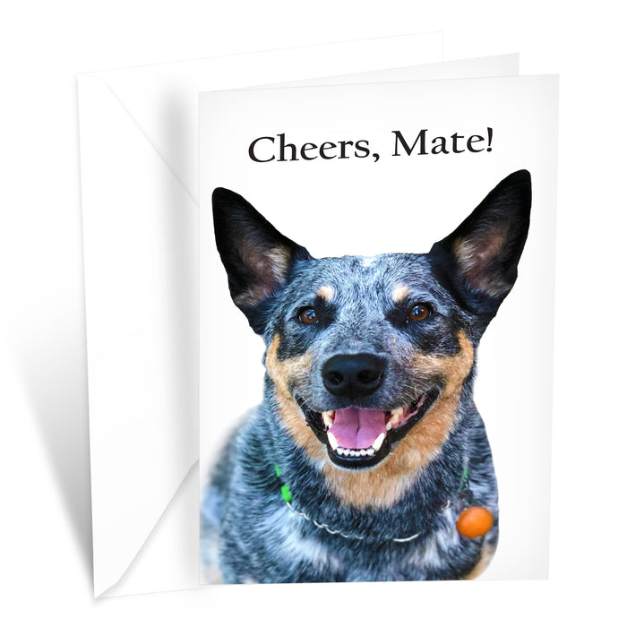 Funny Dog Birthday Card Pun With Australian Sheperd