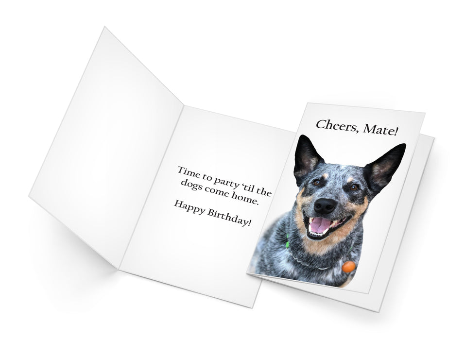 Funny Dog Birthday Card Pun With Australian Sheperd
