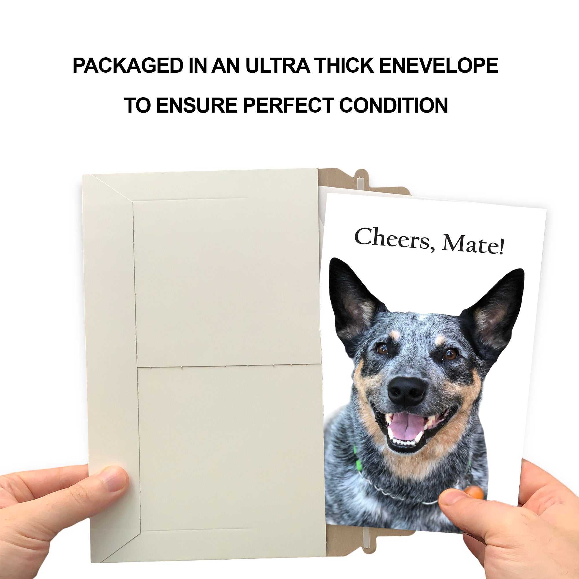 Funny Dog Birthday Card Pun With Australian Sheperd