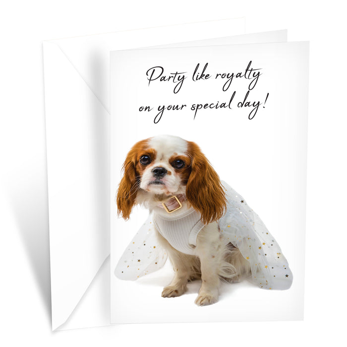 Funny Dog Birthday Card Pun With King Charles Spaniel