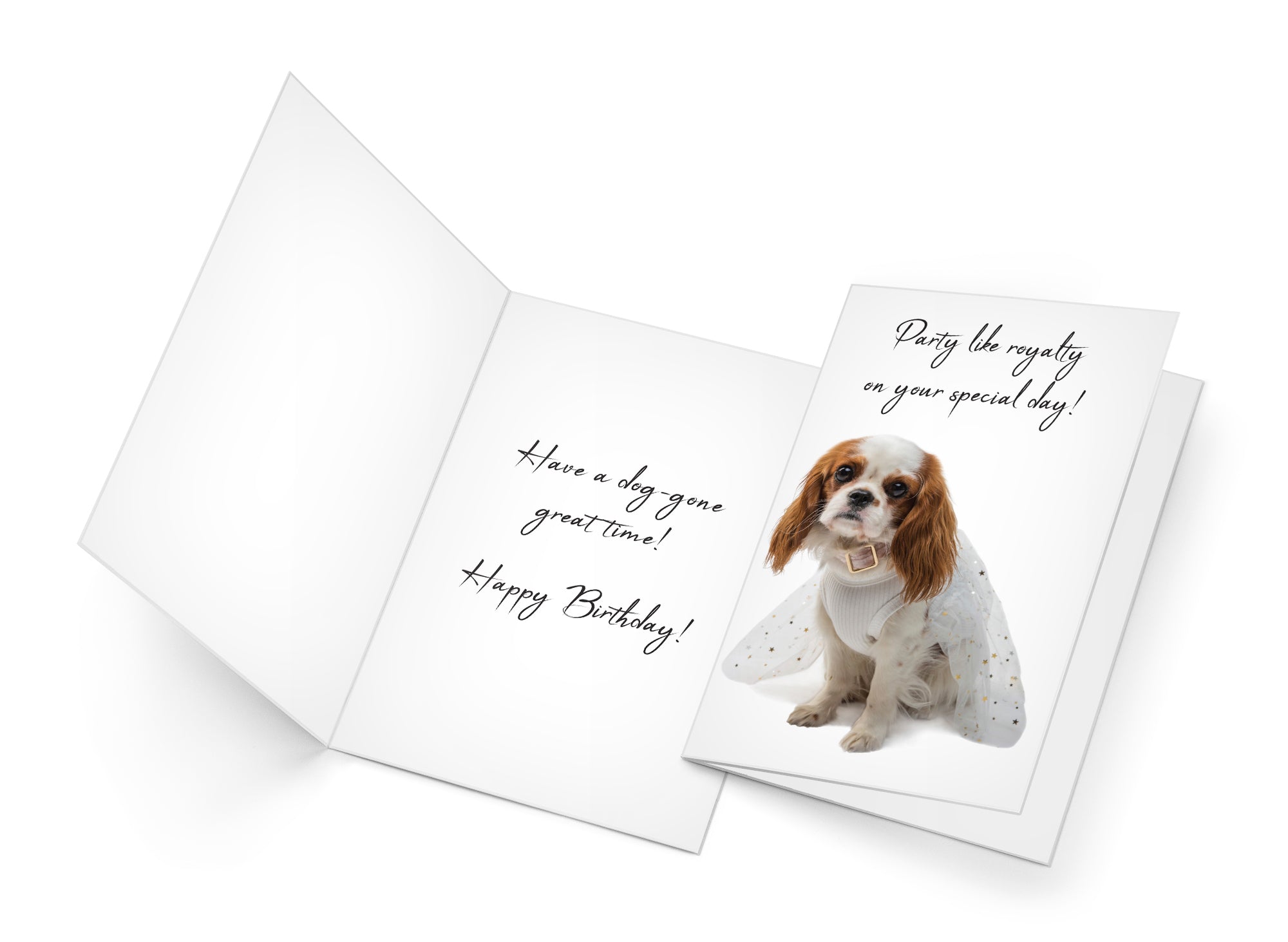 Funny Dog Birthday Card Pun With King Charles Spaniel