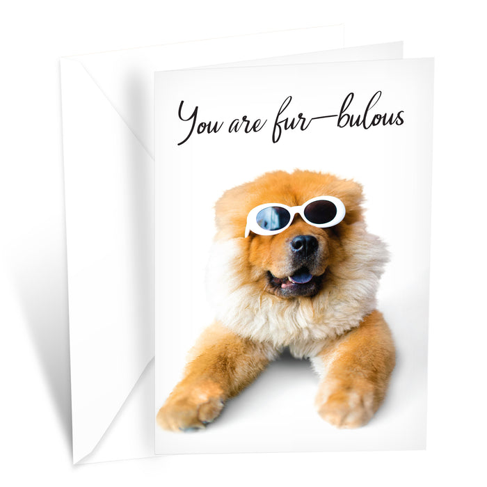 Funny Dog Birthday Card Pun With Sunglasses