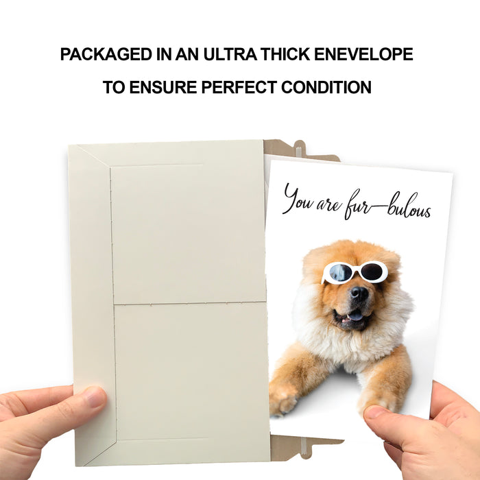 Funny Dog Birthday Card Pun With Sunglasses