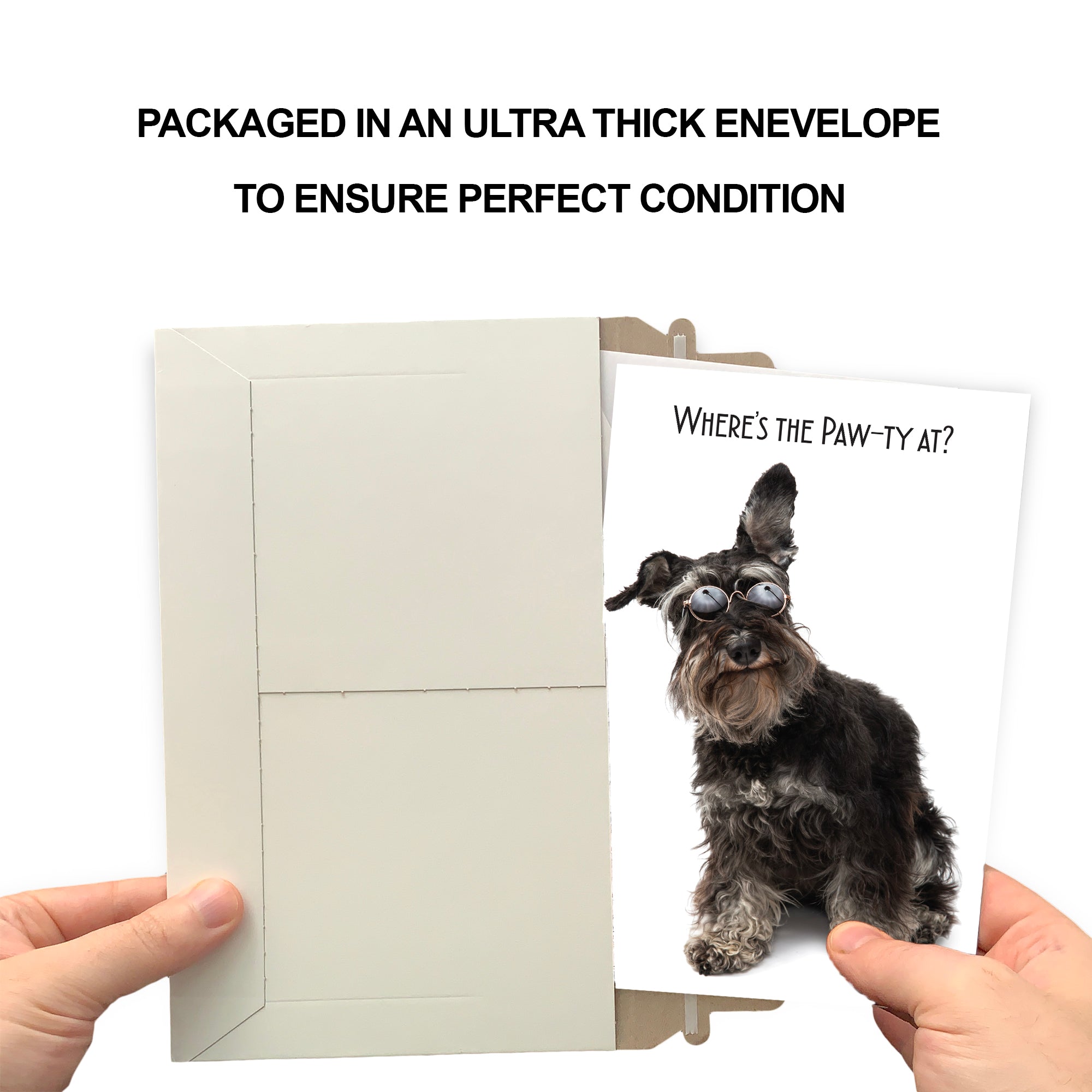 Funny Dog Birthday Card Pun With Poodle With Sunglesses