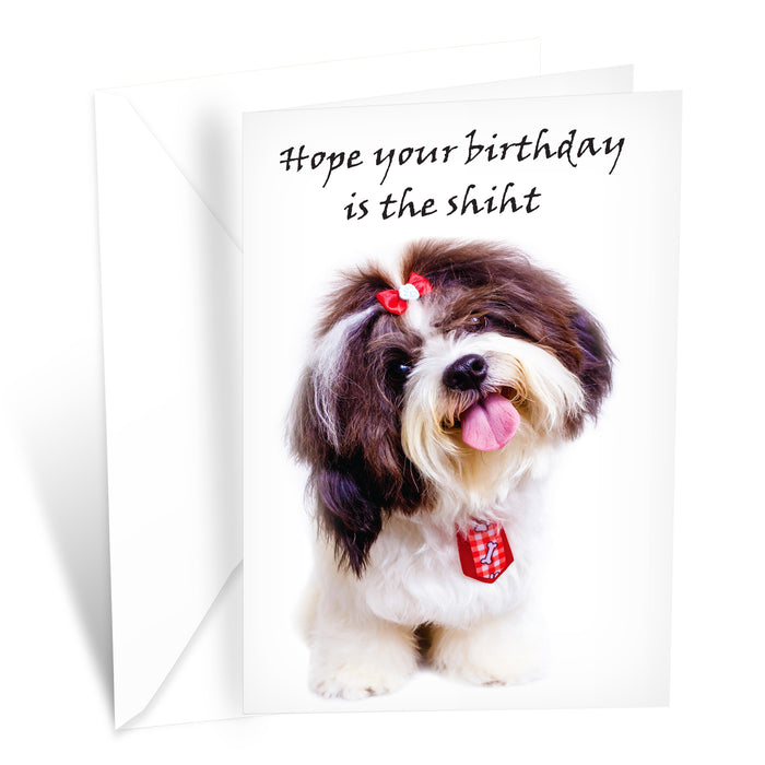 Funny Dog Birthday Card Pun With Shih Tzu