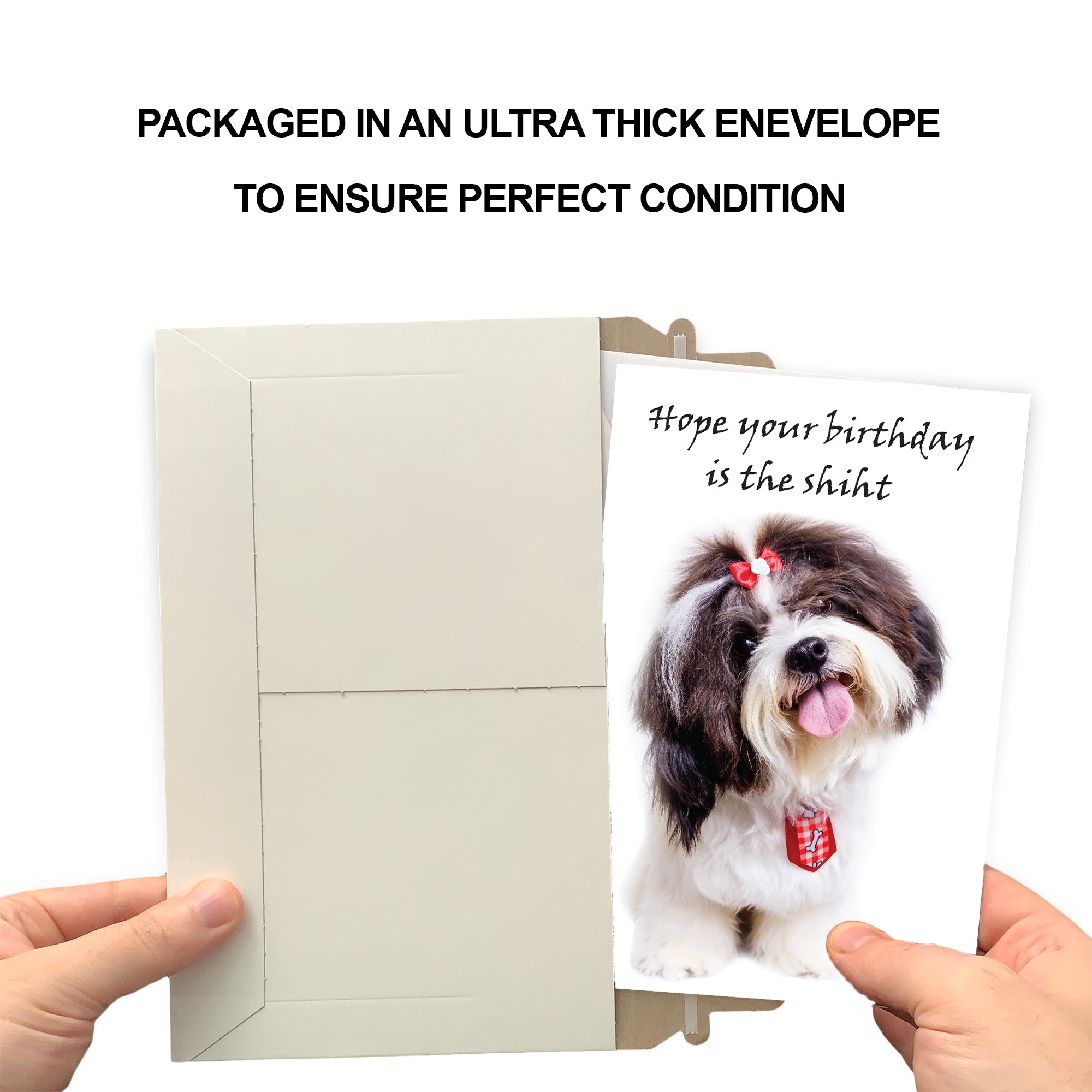 Funny Dog Birthday Card Pun With Shih Tzu