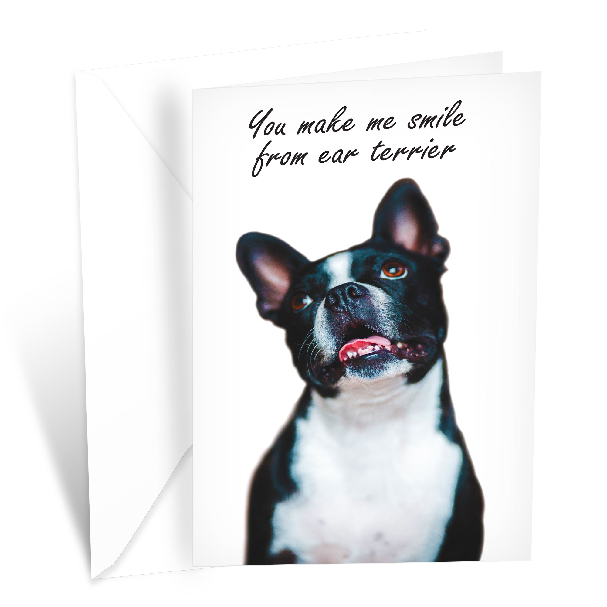 Funny Dog Birthday Card Pun With Boston Terrier