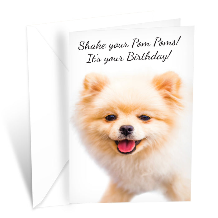 Funny Dog Birthday Card Pun With Pomeranian