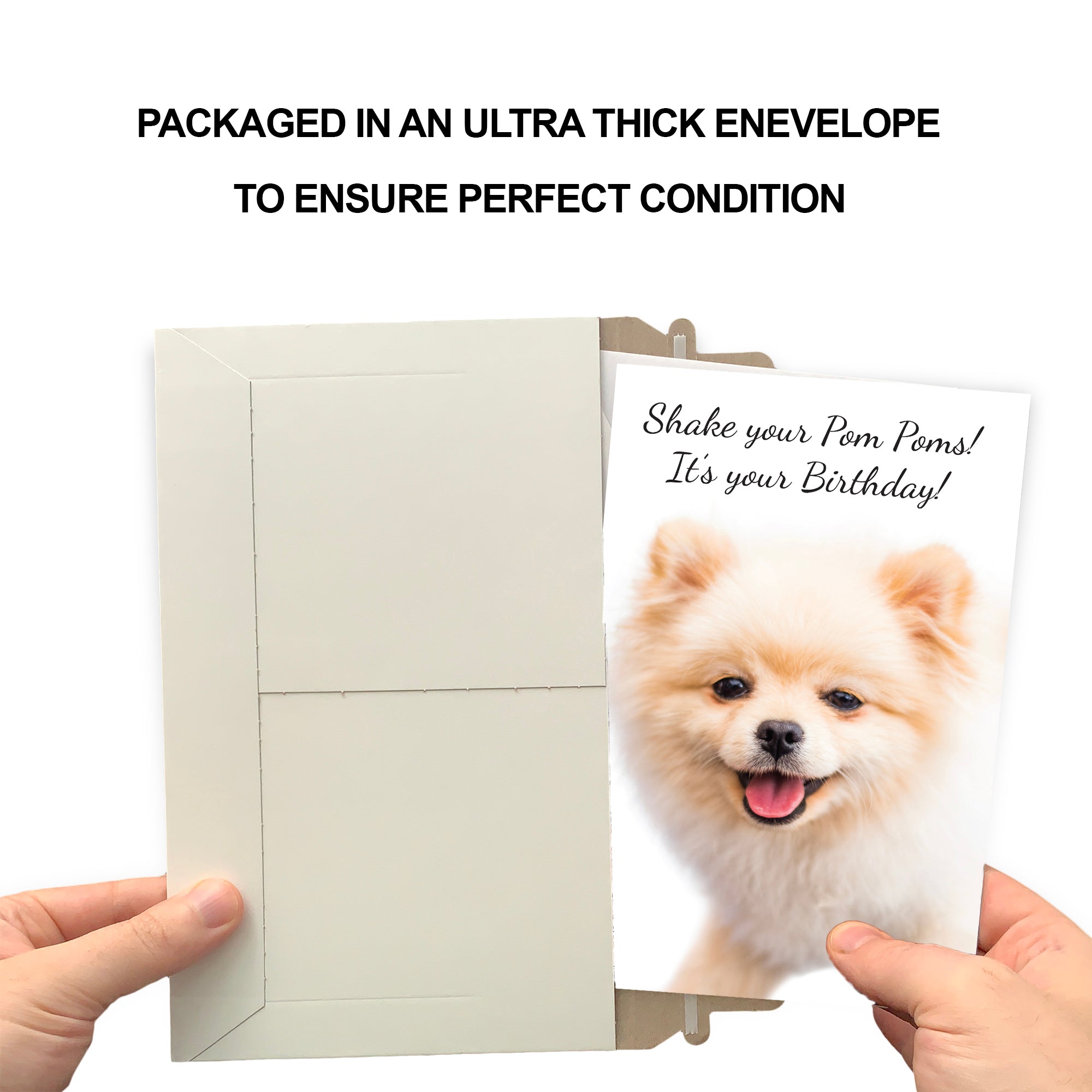 Funny Dog Birthday Card Pun With Pomeranian