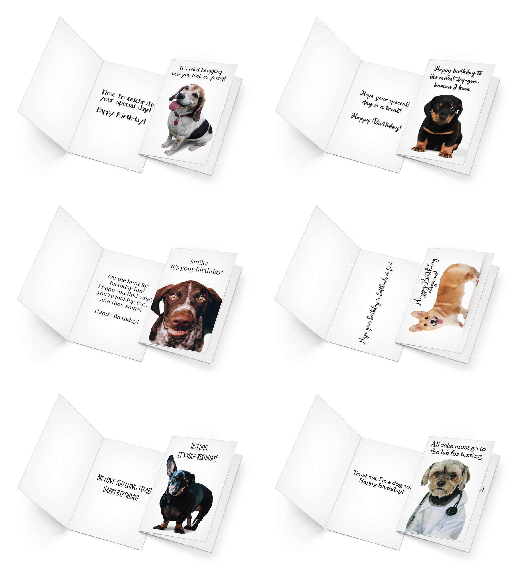 24 Funny Dog Card Collection