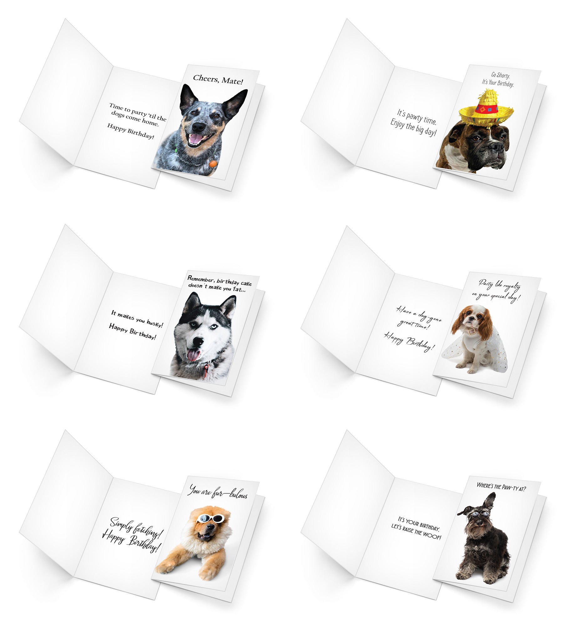 24 Funny Dog Card Collection