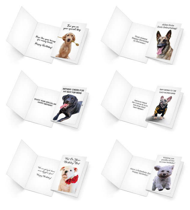 24 Funny Dog Card Collection