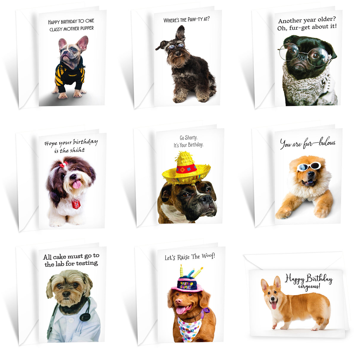 24 Funny Dog Card Collection — Prime Greetings