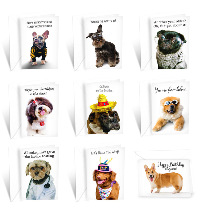 24 Funny Dog Card Collection